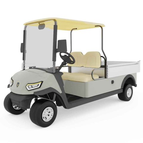 Xe buggy chở hàng Leroad 2